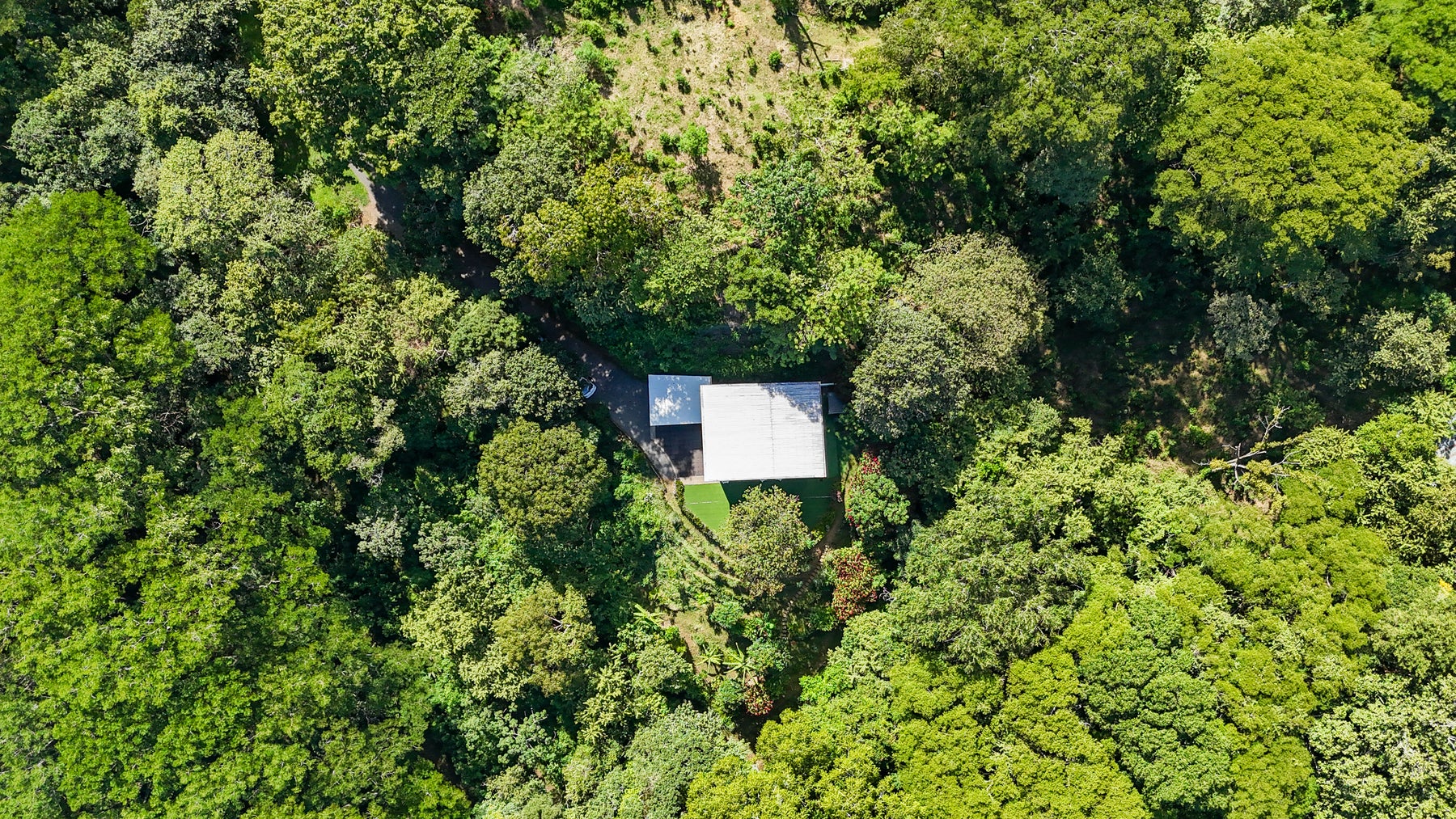 Tropical Farm Estate, Ciudad Colon, San Jose, Costa Rica 10701