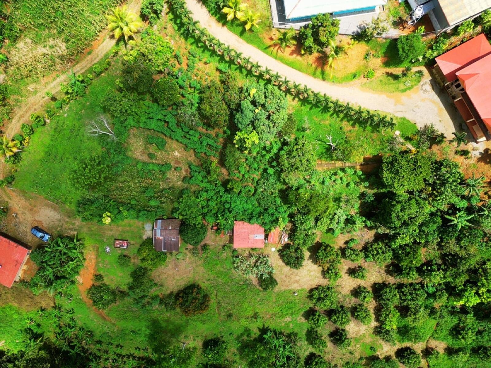 Productive Agricultural Farm, Perez Zeledon, Platanares, Perez Zeledon, San Jose, Costa Rica 11906