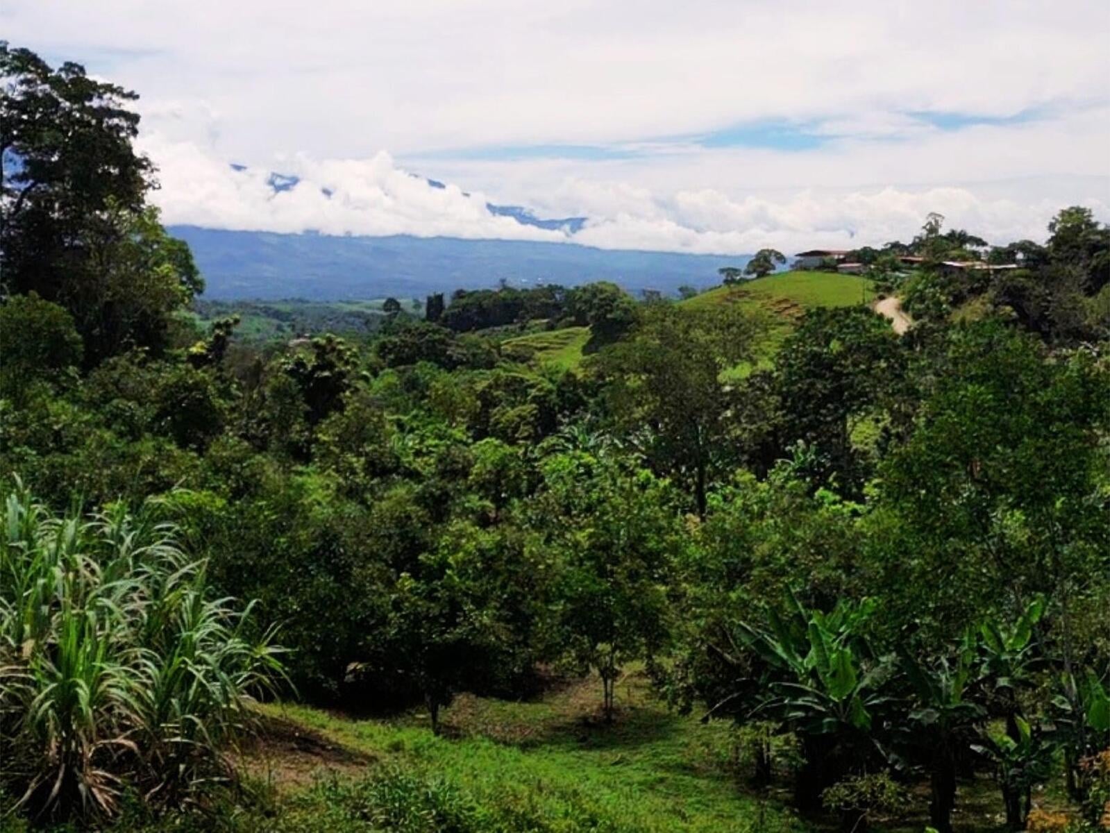 Productive Agricultural Farm, Perez Zeledon, Platanares, Perez Zeledon, San Jose, Costa Rica 11906