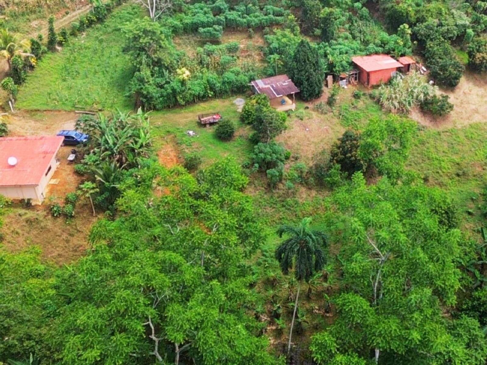 Productive Agricultural Farm, Perez Zeledon, Platanares, Perez Zeledon, San Jose, Costa Rica 11906