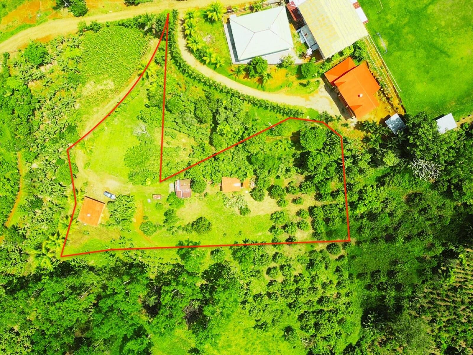 Productive Agricultural Farm, Perez Zeledon, Platanares, Perez Zeledon, San Jose, Costa Rica 11906