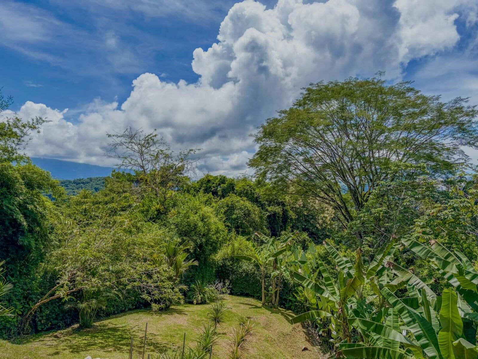 Two Bed with Vehicles Included, Lagunas, Lagunas, Dominical, Savegre, Quepos, Puntarenas, Costa Rica 60601