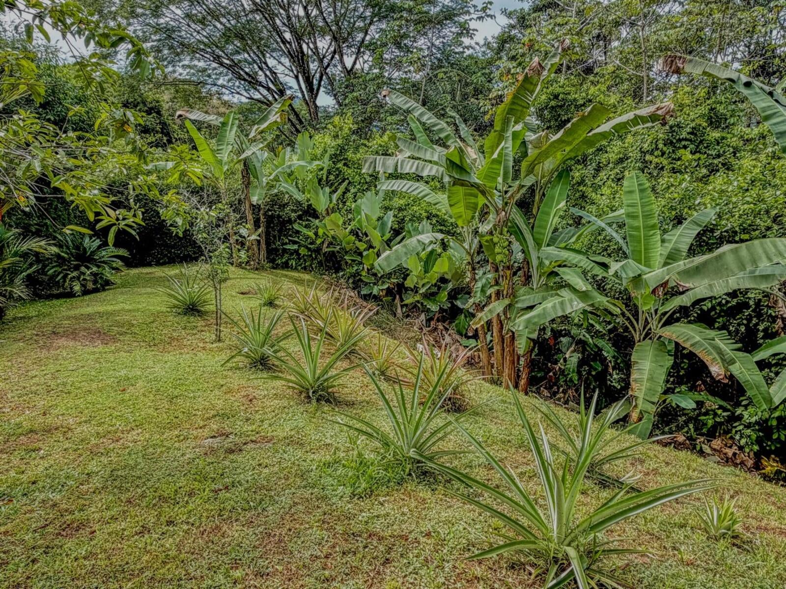 Two Bed with Vehicles Included, Lagunas, Lagunas, Dominical, Savegre, Quepos, Puntarenas, Costa Rica 60601