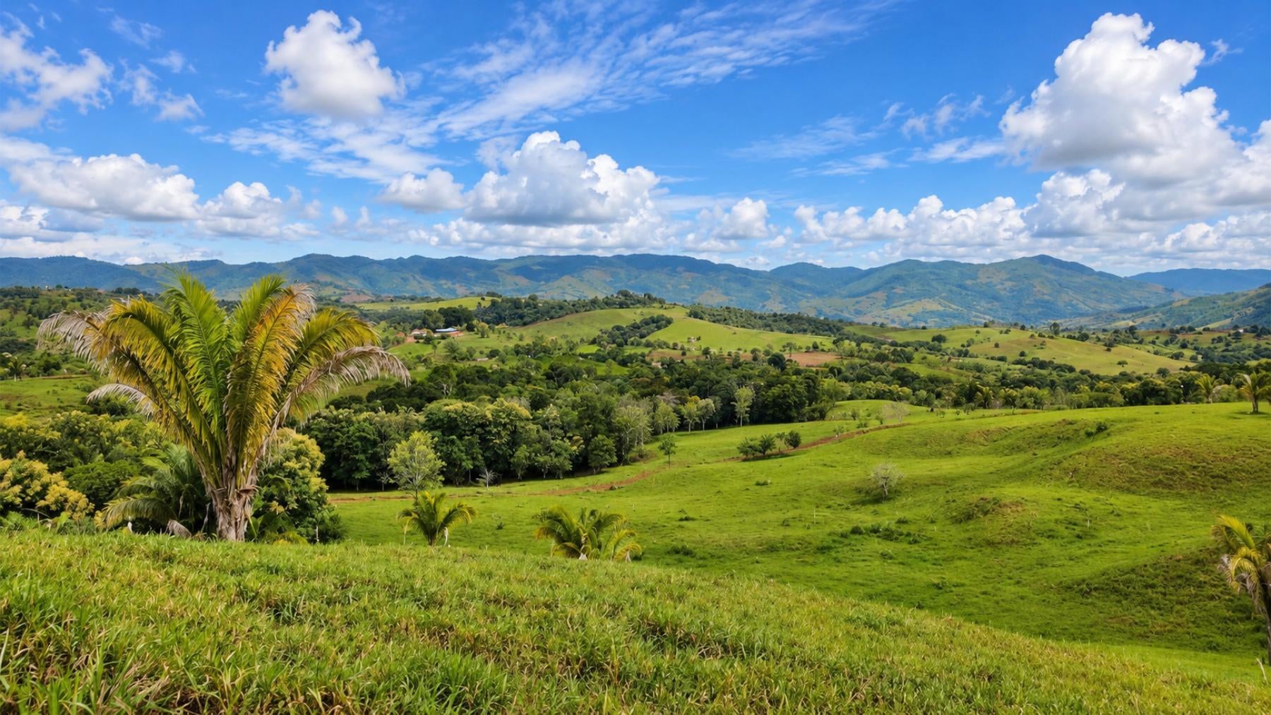 Large Scale Cattle Ranch, San Isidro del General, San Isidro del General, Perez Zeledon, Pejibaye, Perez Zeledon, San Jose, Costa Rica 11907