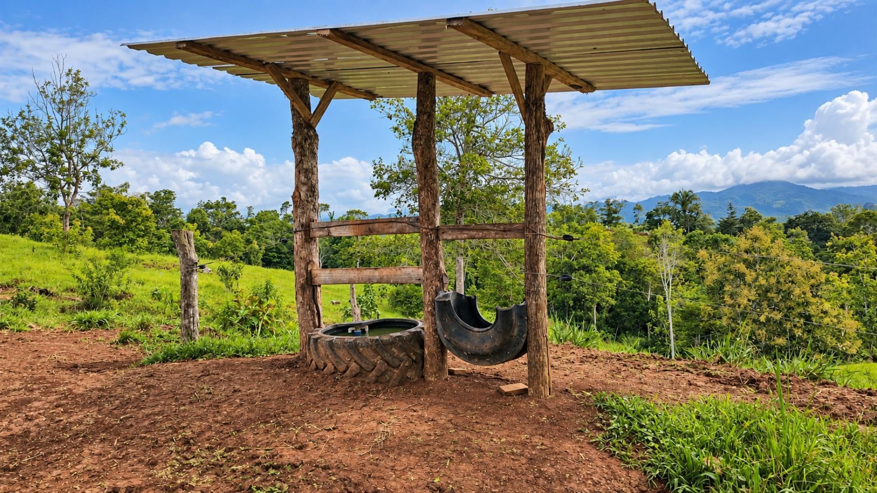 Large Scale Cattle Ranch, San Isidro del General, San Isidro del General, Perez Zeledon, Pejibaye, Perez Zeledon, San Jose, Costa Rica 11907