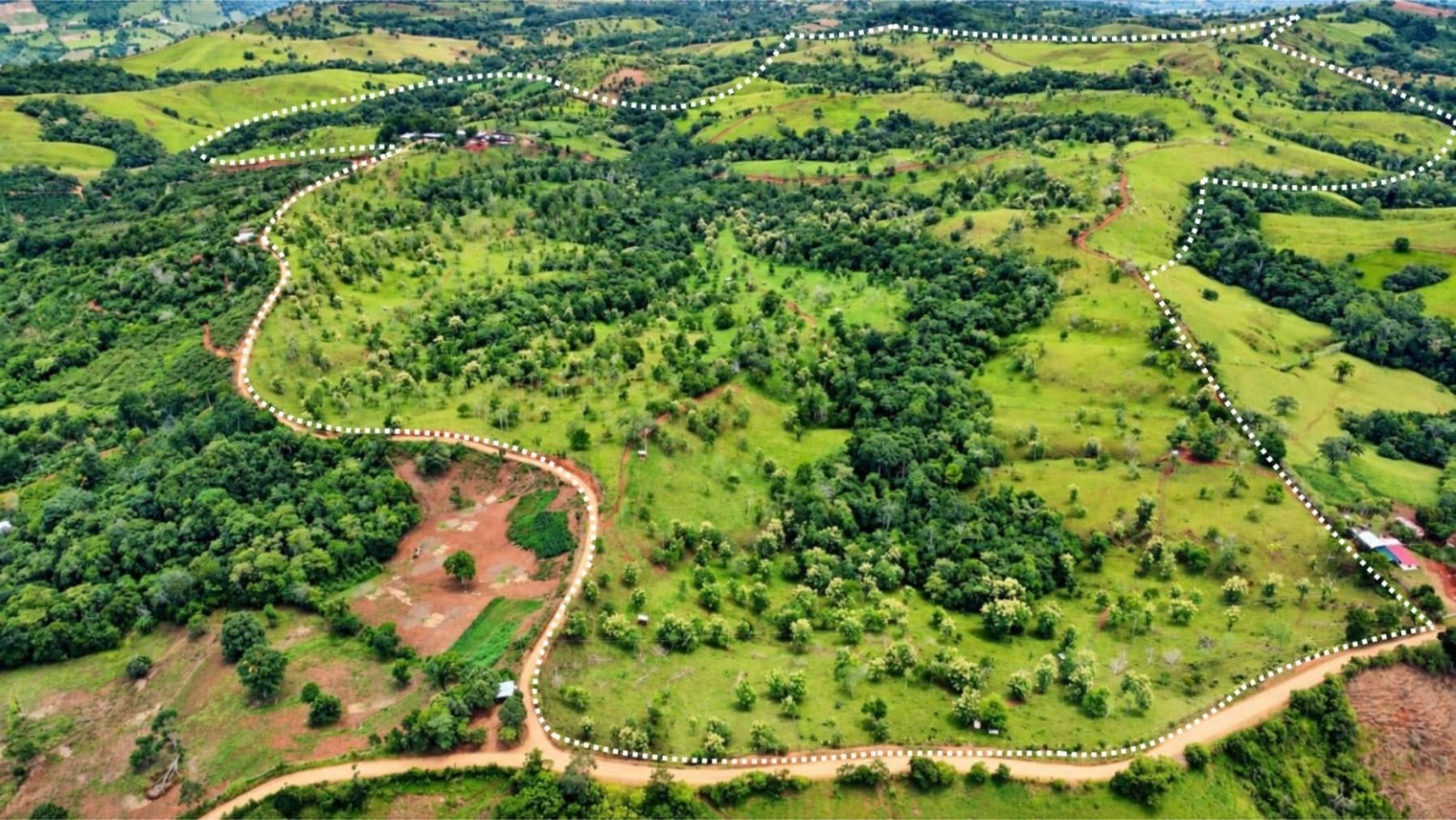 Large Scale Cattle Ranch, San Isidro del General, San Isidro del General, Perez Zeledon, Pejibaye, Perez Zeledon, San Jose, Costa Rica 11907