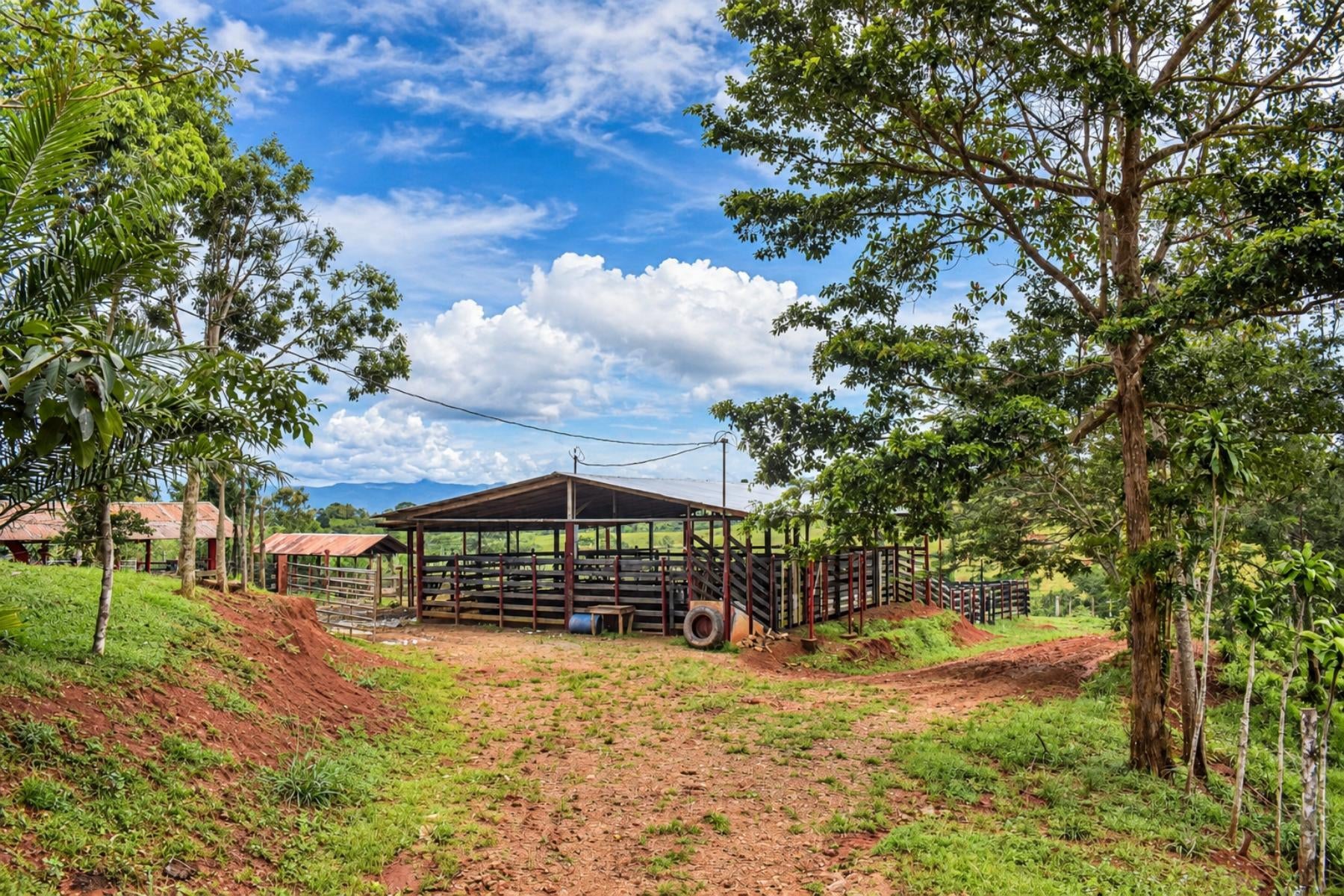 Large Scale Cattle Ranch, San Isidro del General, San Isidro del General, Perez Zeledon, Pejibaye, Perez Zeledon, San Jose, Costa Rica 11907