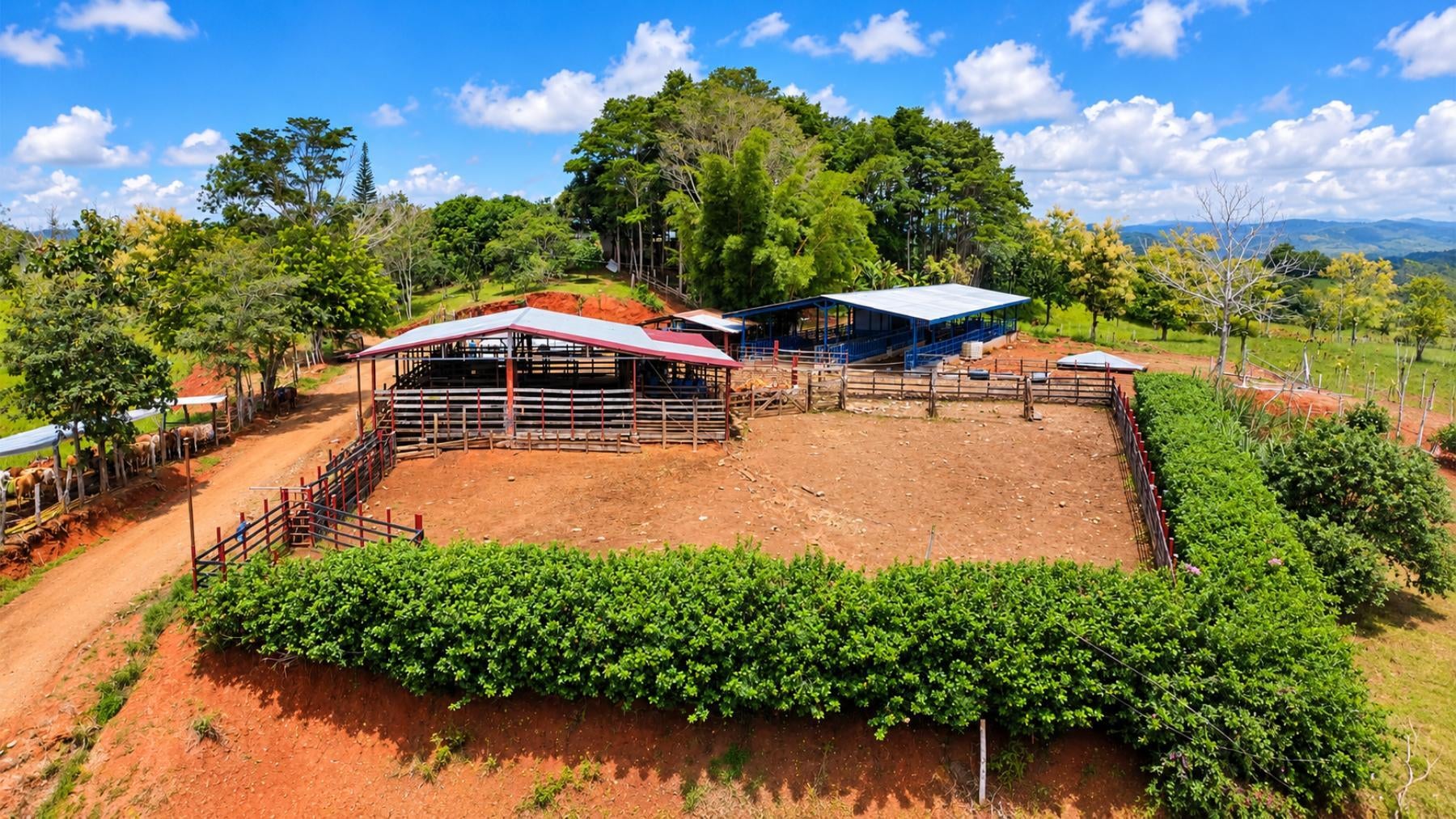 Large Scale Cattle Ranch, San Isidro del General, San Isidro del General, Perez Zeledon, Pejibaye, Perez Zeledon, San Jose, Costa Rica 11907