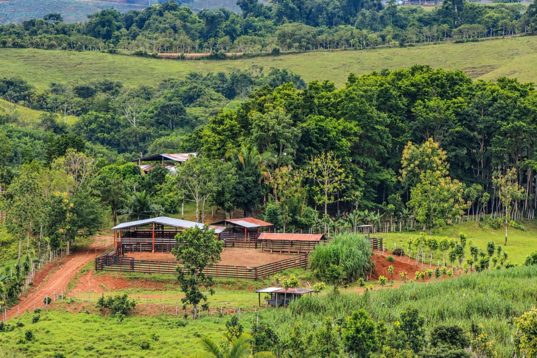 Large Scale Cattle Ranch, San Isidro del General, San Isidro del General, Perez Zeledon, Pejibaye, Perez Zeledon, San Jose, Costa Rica 11907