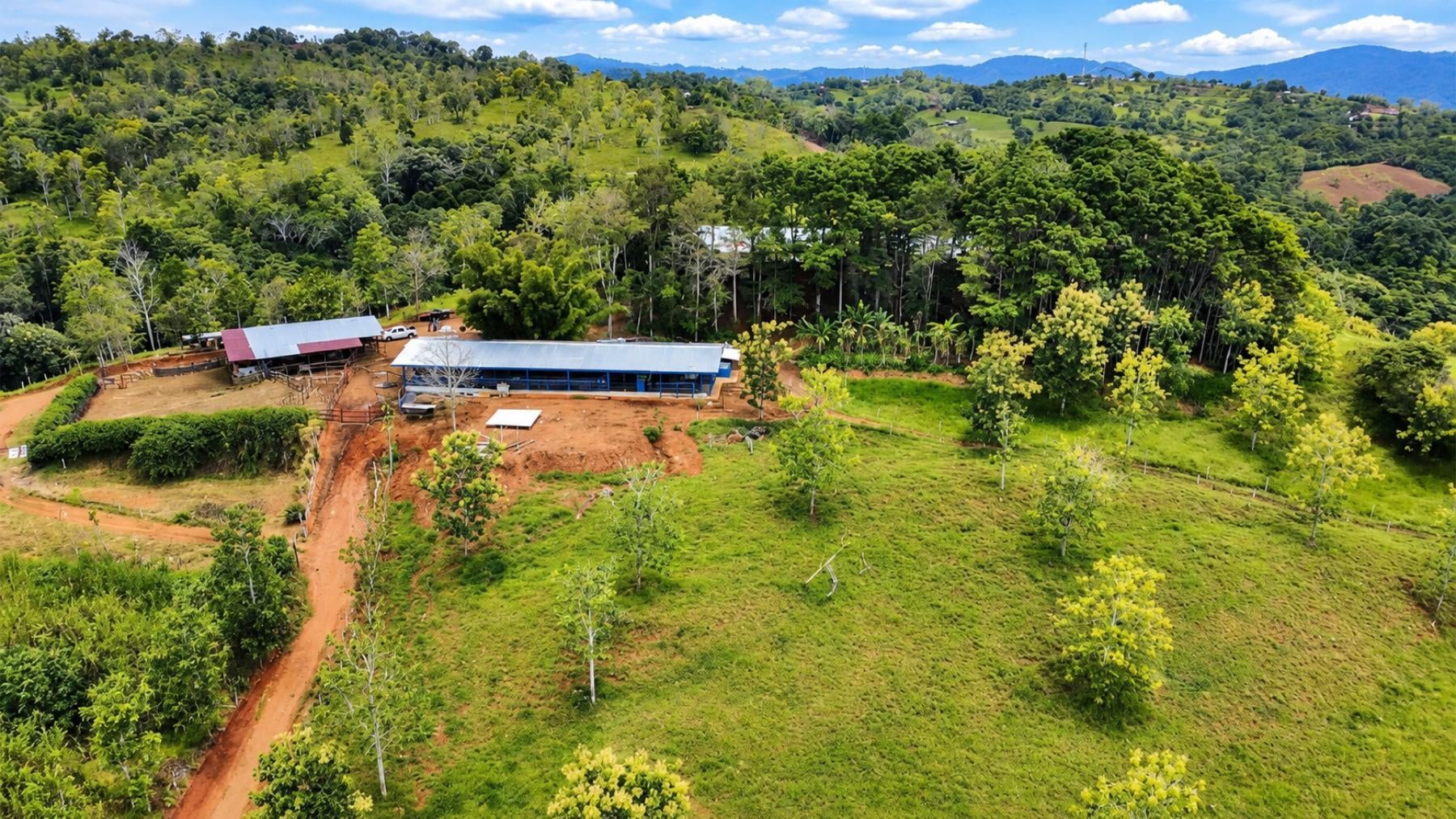 Large Scale Cattle Ranch, San Isidro del General, San Isidro del General, Perez Zeledon, Pejibaye, Perez Zeledon, San Jose, Costa Rica 11907