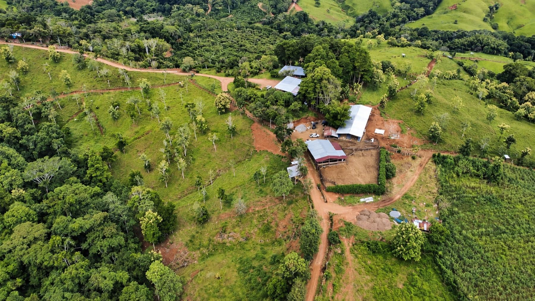 Large Scale Cattle Ranch, San Isidro del General, San Isidro del General, Perez Zeledon, Pejibaye, Perez Zeledon, San Jose, Costa Rica 11907
