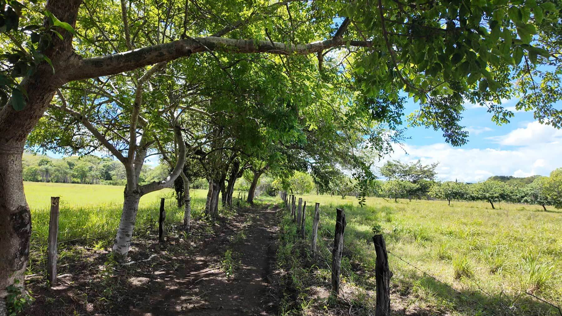 Expansive Coastal Land With Water, Playa Potrero, Tempate, Playa Potrero, Flamingo, Tempate, Santa Cruz, Guanacaste, Costa Rica 50304