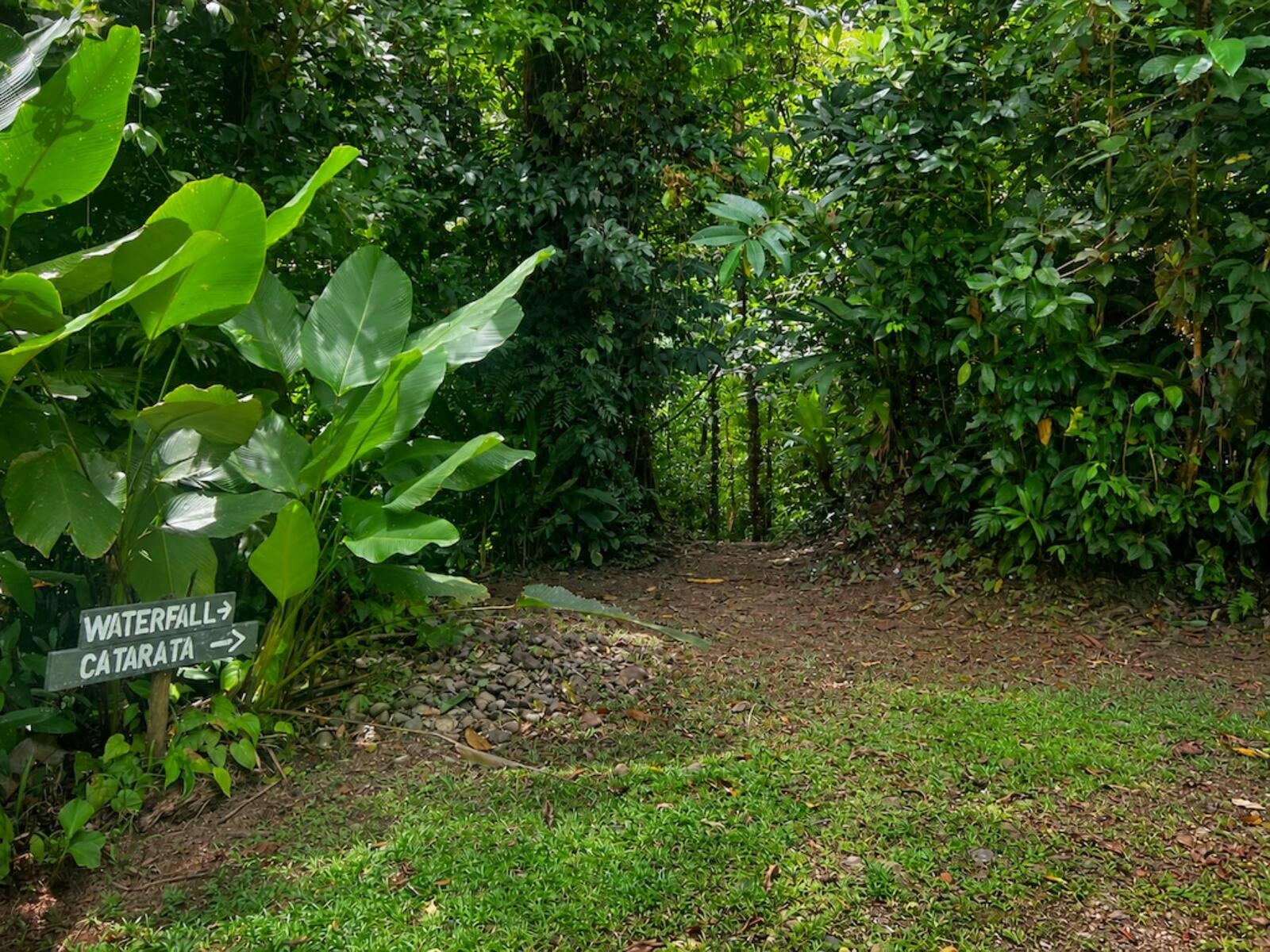 Mountain Top Ocean View Lot, Portalon, Portalon, Manuel Antonio, Quepos, Quepos, Puntarenas, Costa Rica 60601