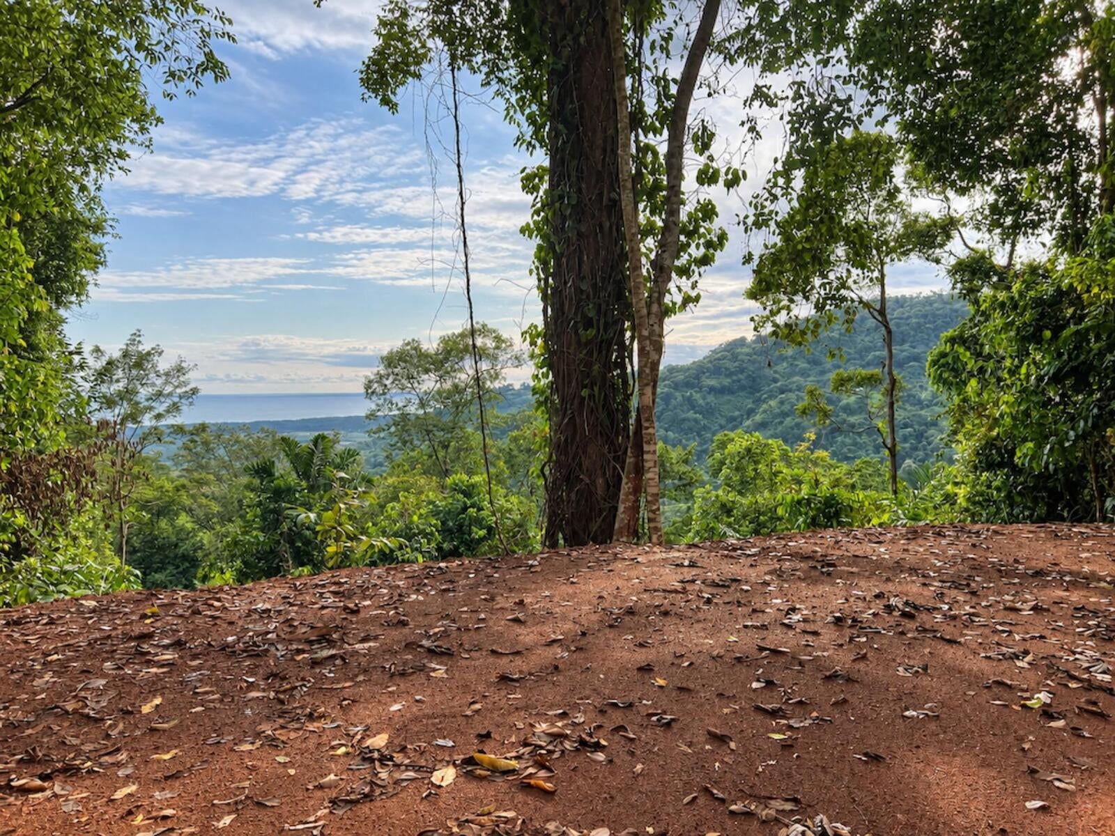 Mountain Top Ocean View Lot, Portalon, Portalon, Manuel Antonio, Quepos, Quepos, Puntarenas, Costa Rica 60601