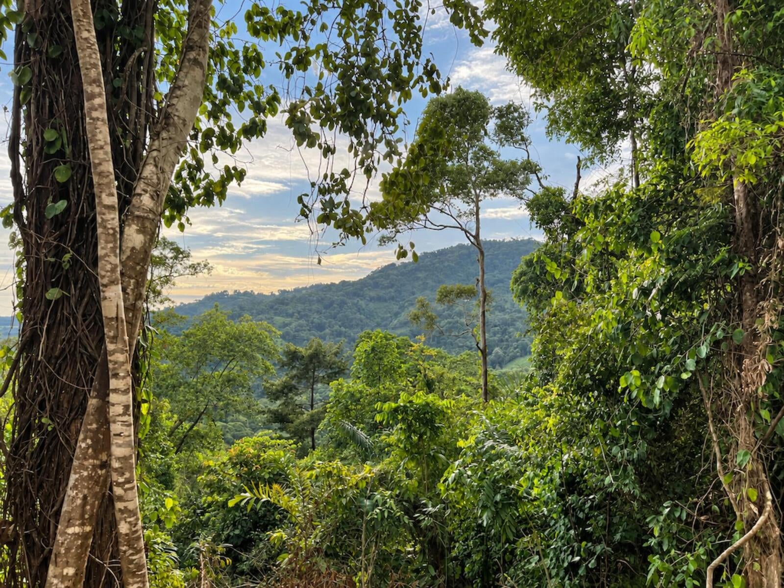 Mountain Top Ocean View Lot, Portalon, Portalon, Manuel Antonio, Quepos, Quepos, Puntarenas, Costa Rica 60601