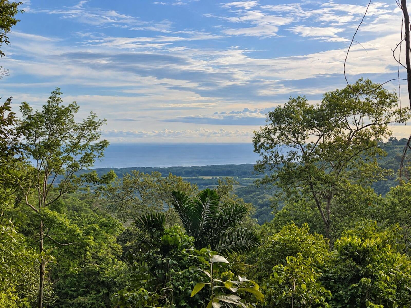 Mountain Top Ocean View Lot, Portalon, Portalon, Manuel Antonio, Quepos, Quepos, Puntarenas, Costa Rica 60601