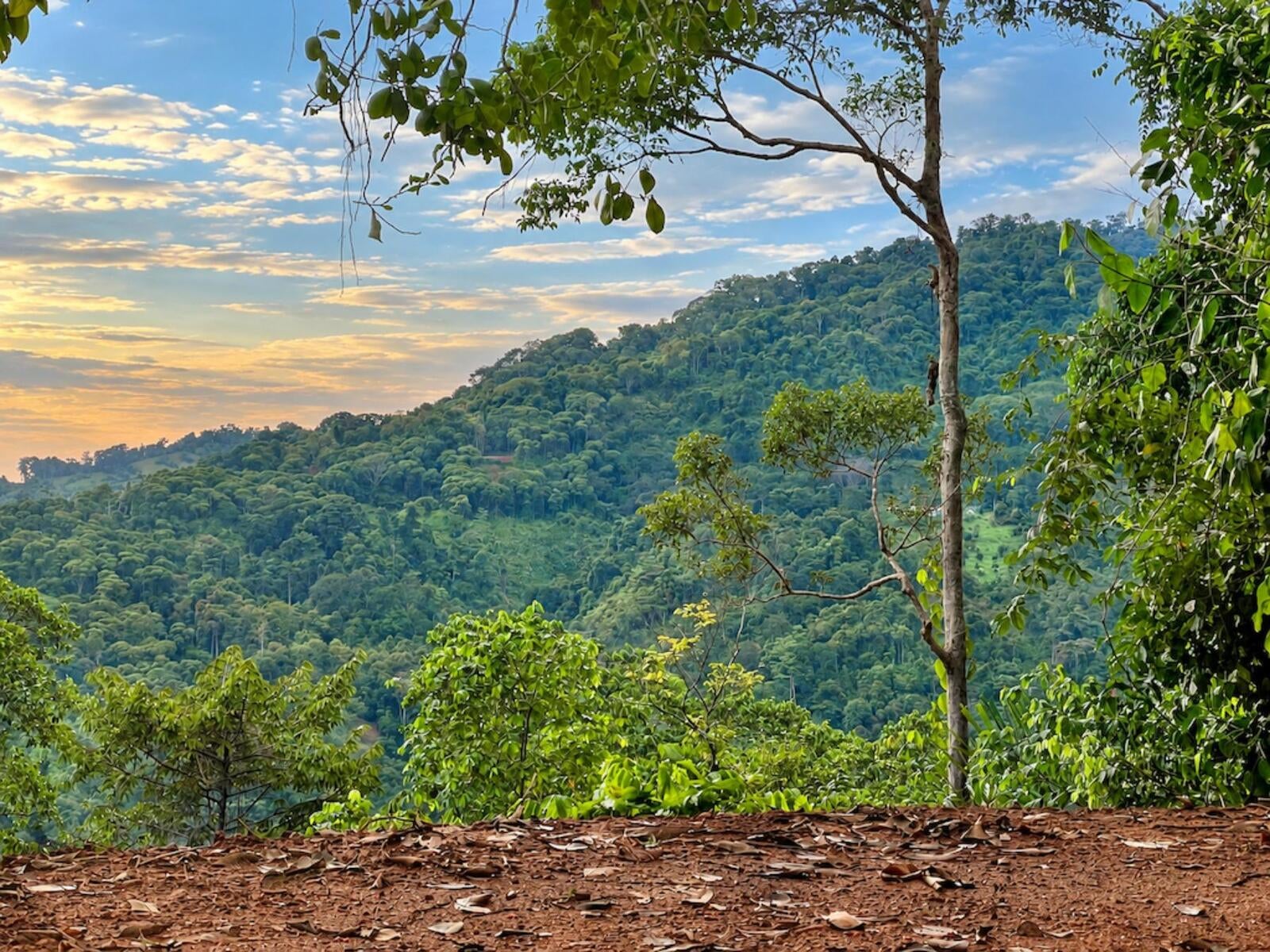 Mountain Top Ocean View Lot, Portalon, Portalon, Manuel Antonio, Quepos, Quepos, Puntarenas, Costa Rica 60601