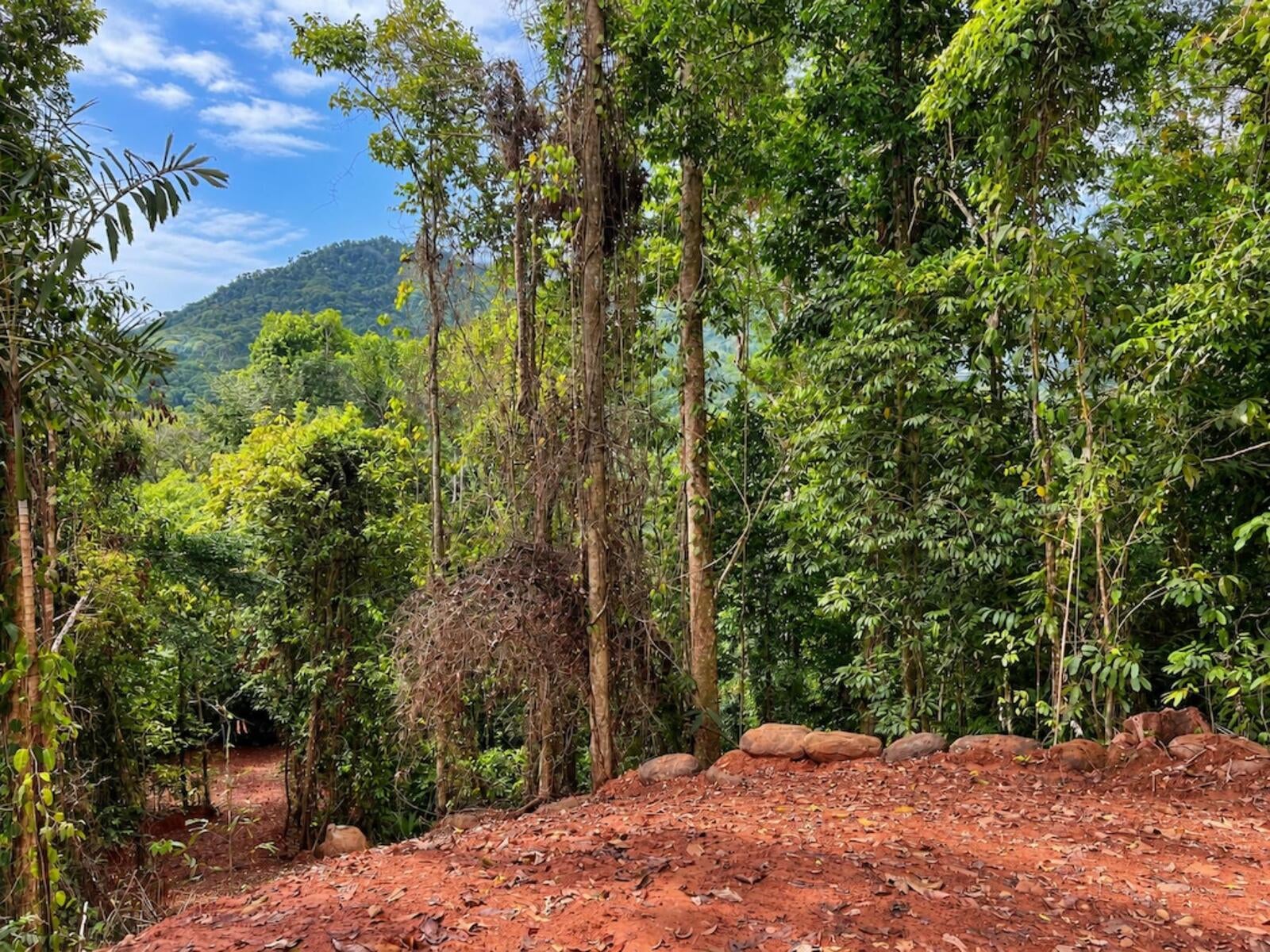 Mountain Top Ocean View Lot, Portalon, Portalon, Manuel Antonio, Quepos, Quepos, Puntarenas, Costa Rica 60601