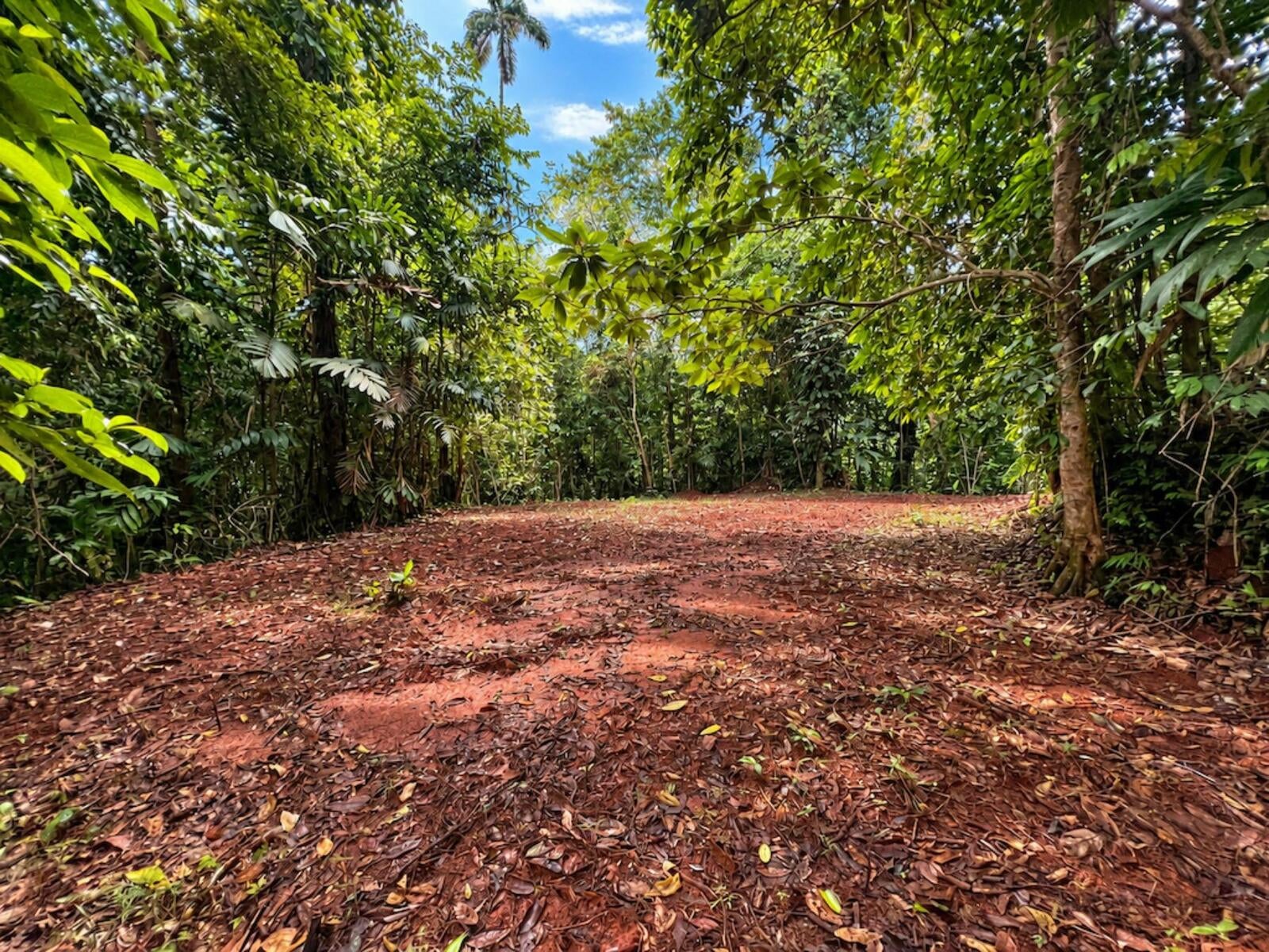 Mountain Top Ocean View Lot, Portalon, Portalon, Manuel Antonio, Quepos, Quepos, Puntarenas, Costa Rica 60601