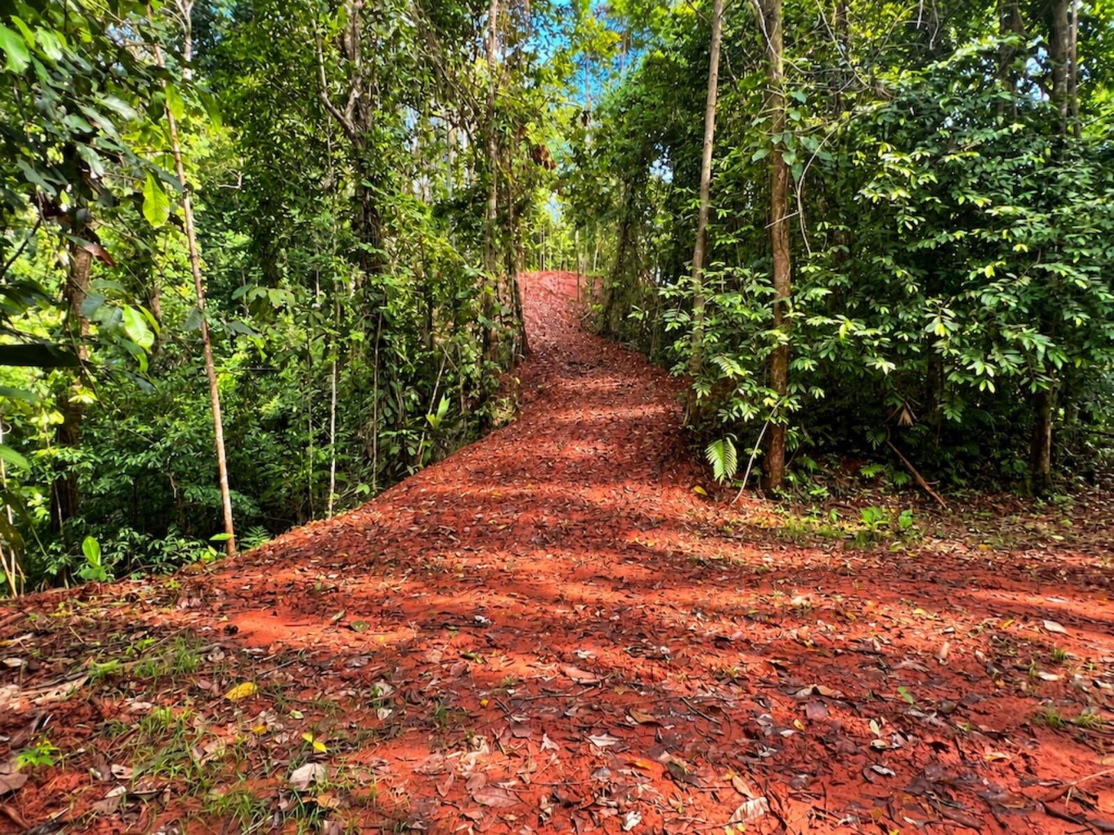 Mountain Top Ocean View Lot, Portalon, Portalon, Manuel Antonio, Quepos, Quepos, Puntarenas, Costa Rica 60601