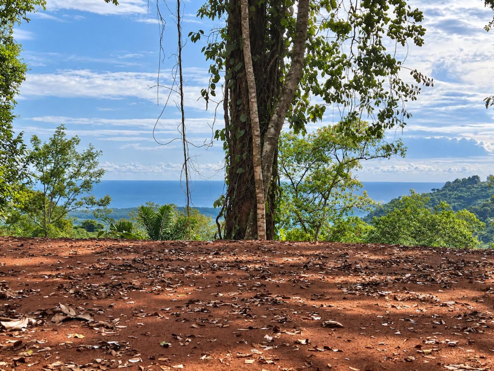 Mountain Top Ocean View Lot, Portalon, Portalon, Manuel Antonio, Quepos, Quepos, Puntarenas, Costa Rica 60601