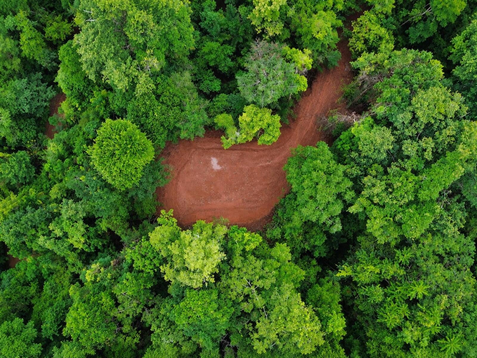 Mountain Top Ocean View Lot, Portalon, Portalon, Manuel Antonio, Quepos, Quepos, Puntarenas, Costa Rica 60601