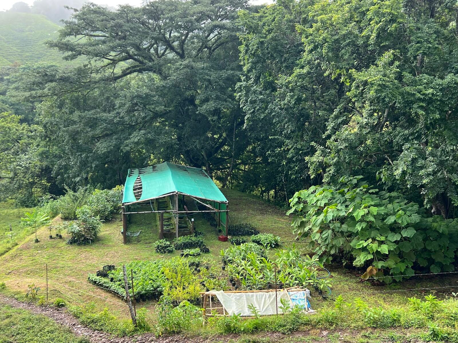 90-Hectare Farm for Conservation & Sustainable Agriculture, El balso , Puntarenas, Cobano, Puntarenas, Costa Rica 60111 90-Hectare Farm for Conservation & Sustainable Agriculture, El balso , Puntarenas, Cobano, Puntarenas, Costa Rica 60111