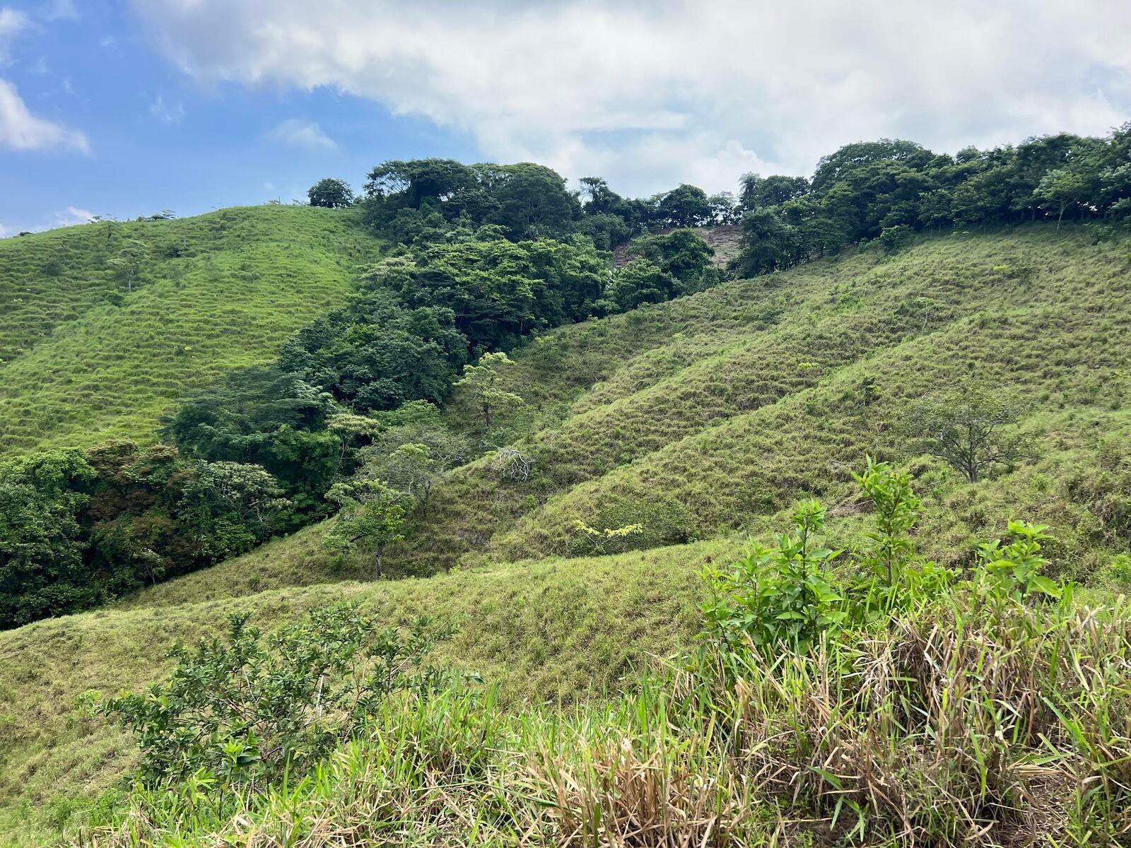 90-Hectare Farm for Conservation & Sustainable Agriculture, El balso , Puntarenas, Cobano, Puntarenas, Costa Rica 60111 90-Hectare Farm for Conservation & Sustainable Agriculture, El balso , Puntarenas, Cobano, Puntarenas, Costa Rica 60111