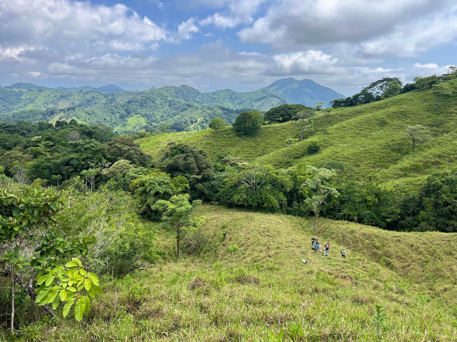 90-Hectare Farm for Conservation & Sustainable Agriculture, El balso , Puntarenas, Cobano, Puntarenas, Costa Rica 60111 90-Hectare Farm for Conservation & Sustainable Agriculture, El balso , Puntarenas, Cobano, Puntarenas, Costa Rica 60111