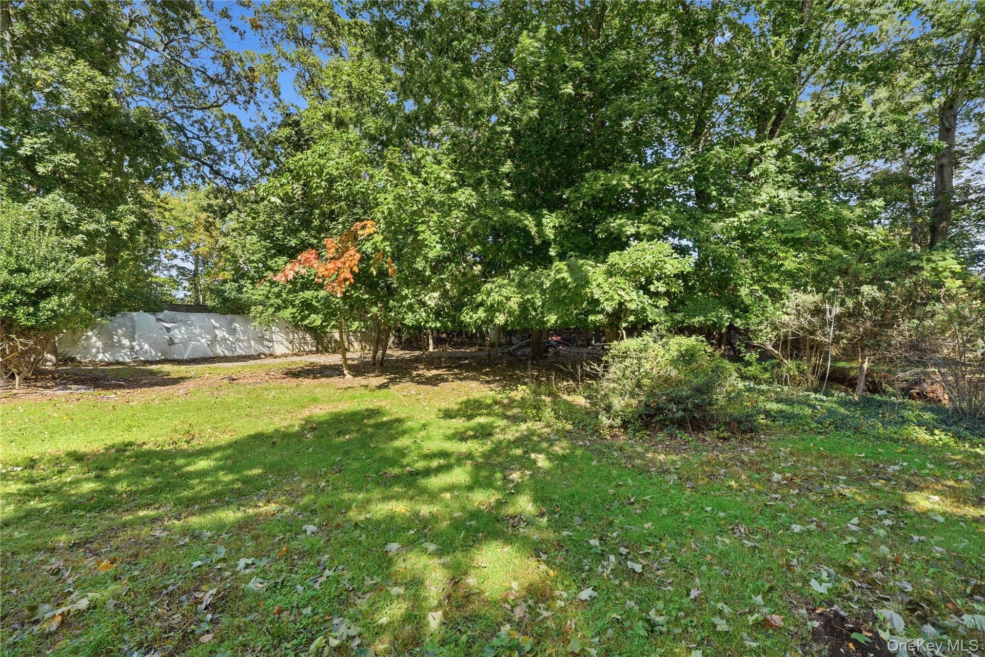 Yard