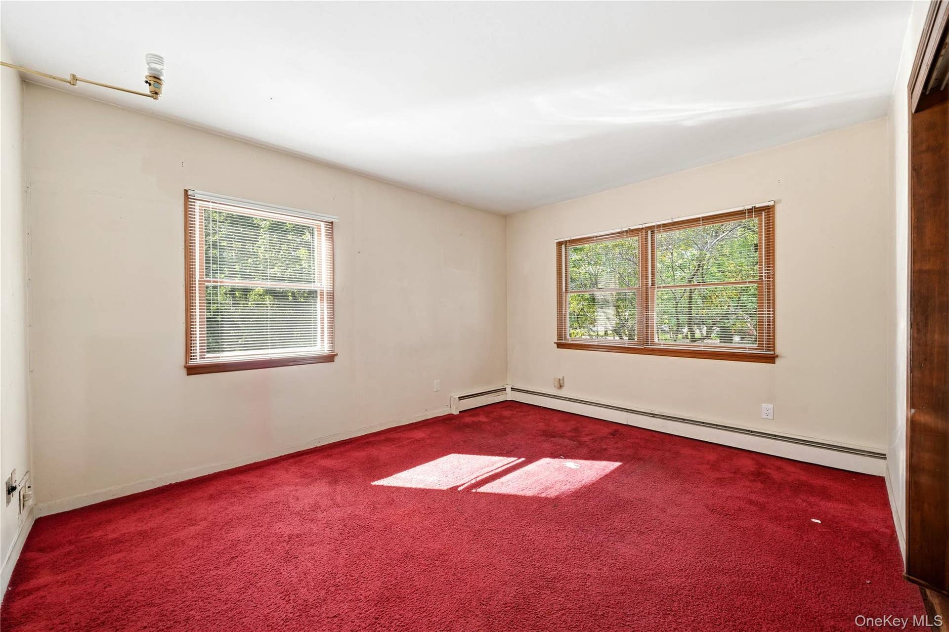 Carpet has been removed, wood floors beneath!