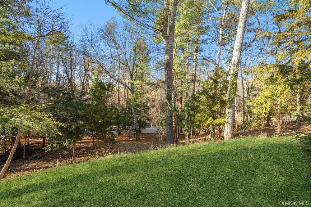 89 Mill River Road, Upper Brookville, NY 11771 View of green lawn