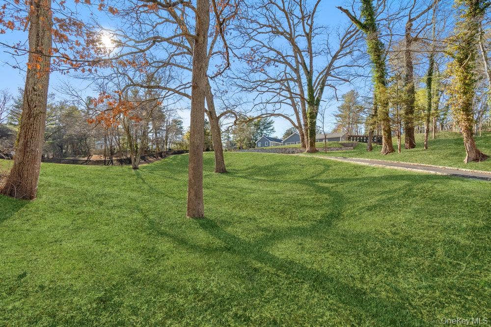89 Mill River Road, Upper Brookville, NY 11771 View of grassy yard
