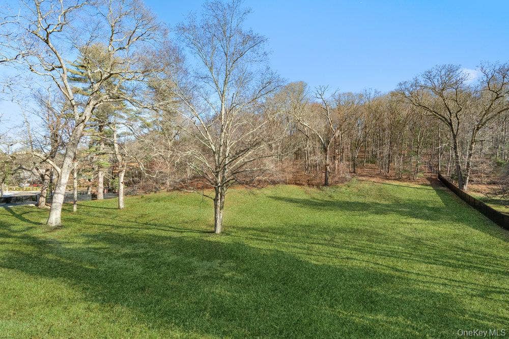 89 Mill River Road, Upper Brookville, NY 11771 View of green lawn