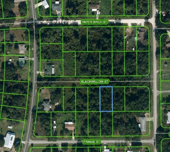 Property photo for 1505 PRENTICE STREET, Lake Placid, FL