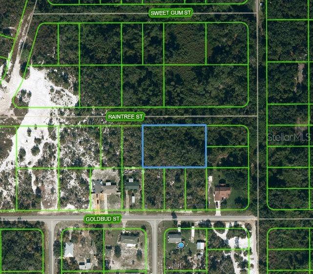 Property photo for 1515 RAINTREE STREET, Lake Placid, FL