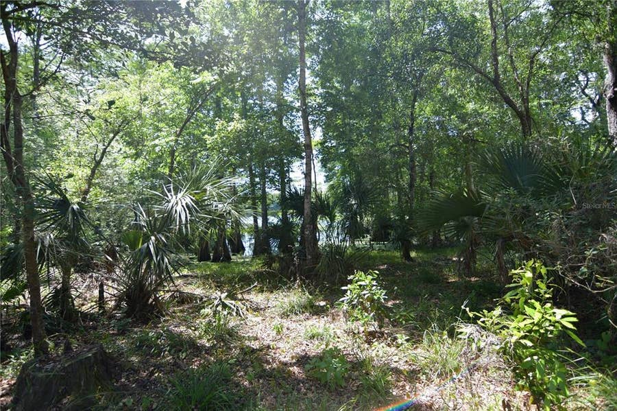 Property photo for SW 64TH AVENUE, Bushnell, FL