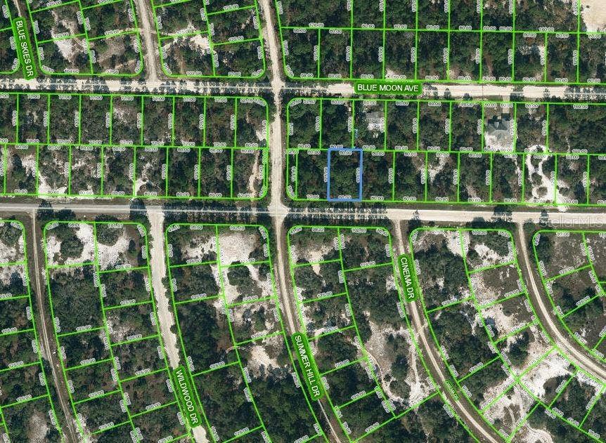 Property photo for 384 JACK WEISSER BOULEVARD, Lake Placid, FL