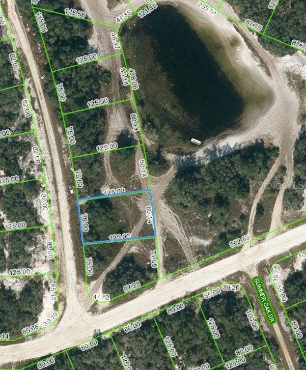 Property photo for 203 SUNWAY DRIVE, Lake Placid, FL