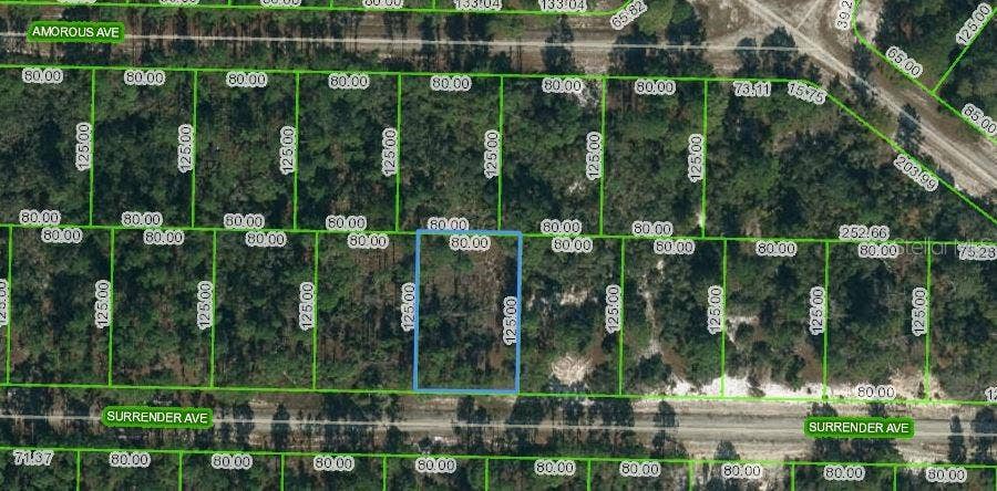 Property photo for 420 SURRENDER AVENUE, Lake Placid, FL