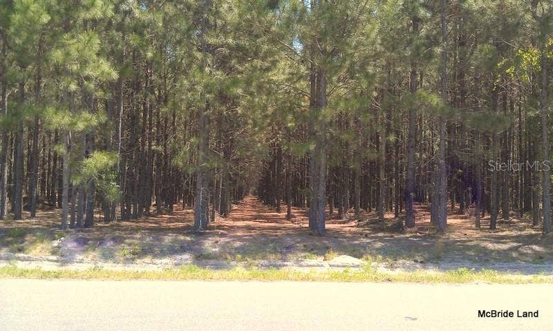 17001 SW HIGHWAY 484, Dunnellon, FL 34432 17001 SW HIGHWAY 484, Dunnellon, FL 34432