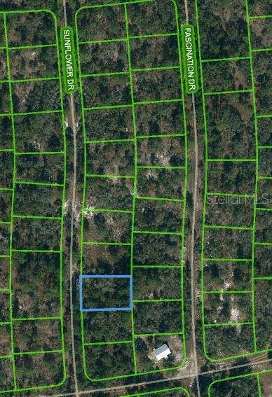 Property photo for 245 SUNFLOWER AVENUE, Lake Placid, FL