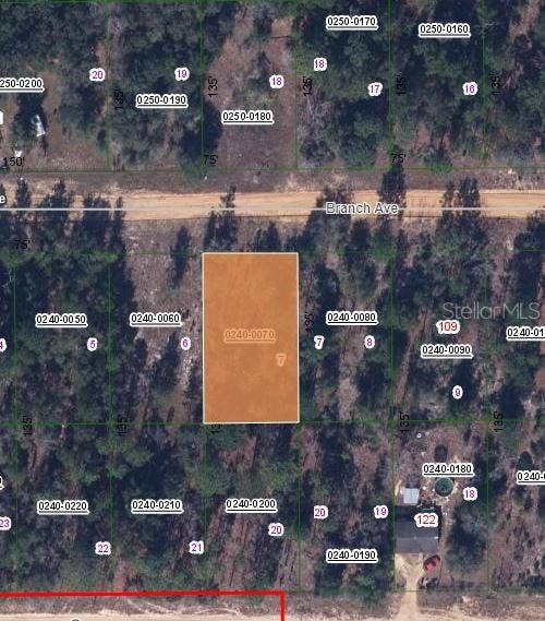 Property photo for 115 BRANCH AVENUE, Interlachen, FL