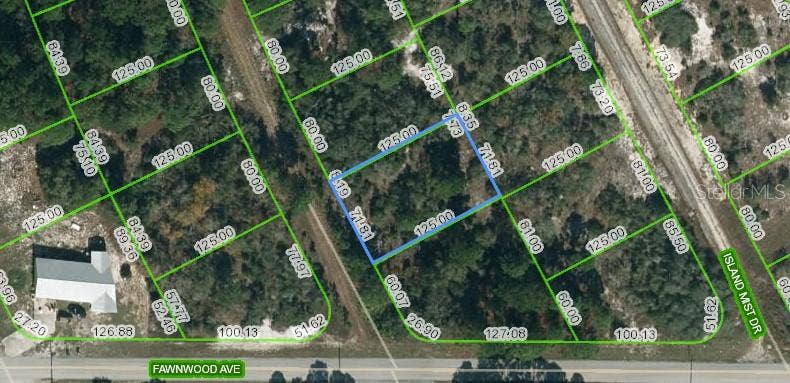 Property photo for 203 BLUE HORIZON DRIVE, Lake Placid, FL