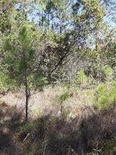 Property photo for WATER ROAD, Groveland, FL