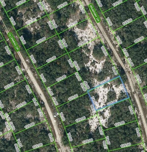 Property photo for 210 BRIARWAY DRIVE, Lake Placid, FL
