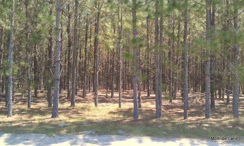 17001 SW HIGHWAY 484, Dunnellon, FL 34432 17001 SW HIGHWAY 484, Dunnellon, FL 34432