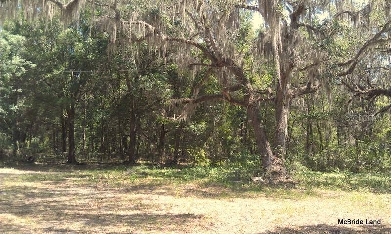 17001 SW HIGHWAY 484, Dunnellon, FL 34432 17001 SW HIGHWAY 484, Dunnellon, FL 34432