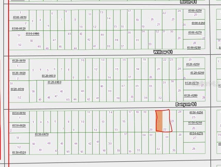 Property photo for 00 BANVON STREET, Interlachen, FL