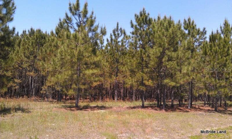 17001 SW HIGHWAY 484, Dunnellon, FL 34432 17001 SW HIGHWAY 484, Dunnellon, FL 34432